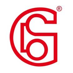 Gunes-Motor-Supaplari_Logo